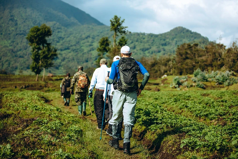 tourists walking along a forest trail into Volcanoes National Park, Rwanda