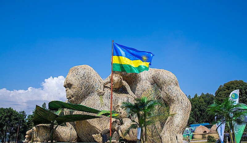 Gorilla Trekking & Wildlife Safaris