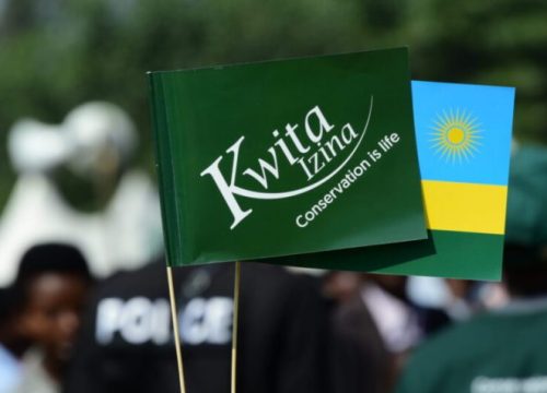 Kwita Izina 2025 Baby Gorilla Naming Ceremony